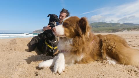 Man and his Dogs Posing for the Camera