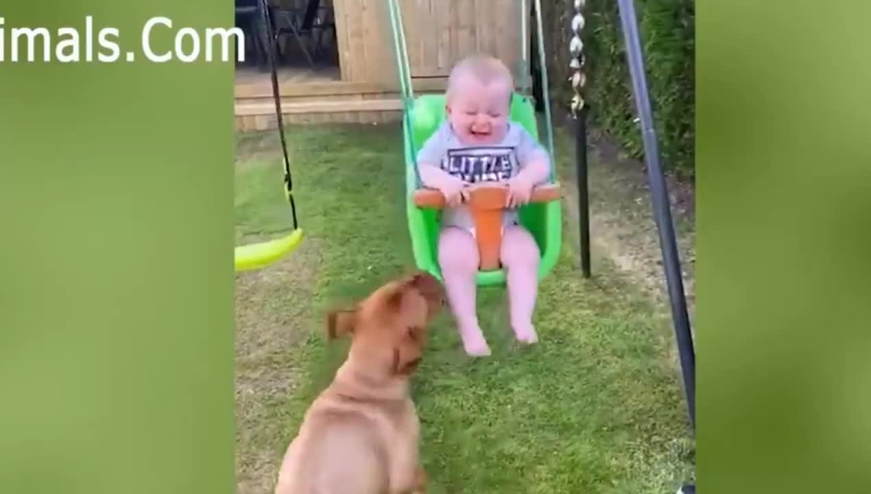 Adorable dog Puppy Love Babies Compilation 😍 A Cute Puppy 🐶and Baby👶cute dogs videos