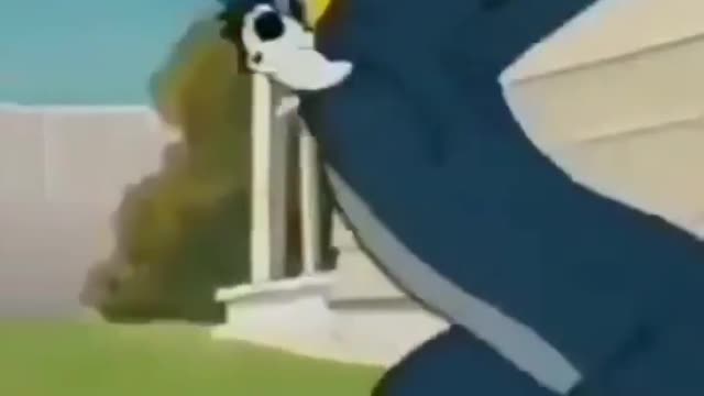 Tom And Jerry Funny Video