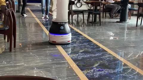 Robot serving