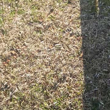 Coco comes to see Dad