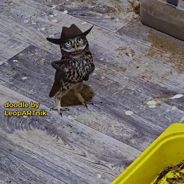 Rare Animal Footage You Have to See