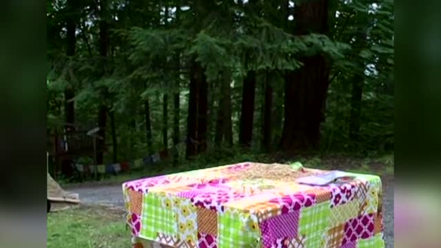 Father And Son Explode Watermelon