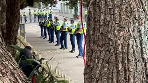 Wellington Protest 2/3/2022: Anti-Mandate Protestors interacting with New Zealand Police.