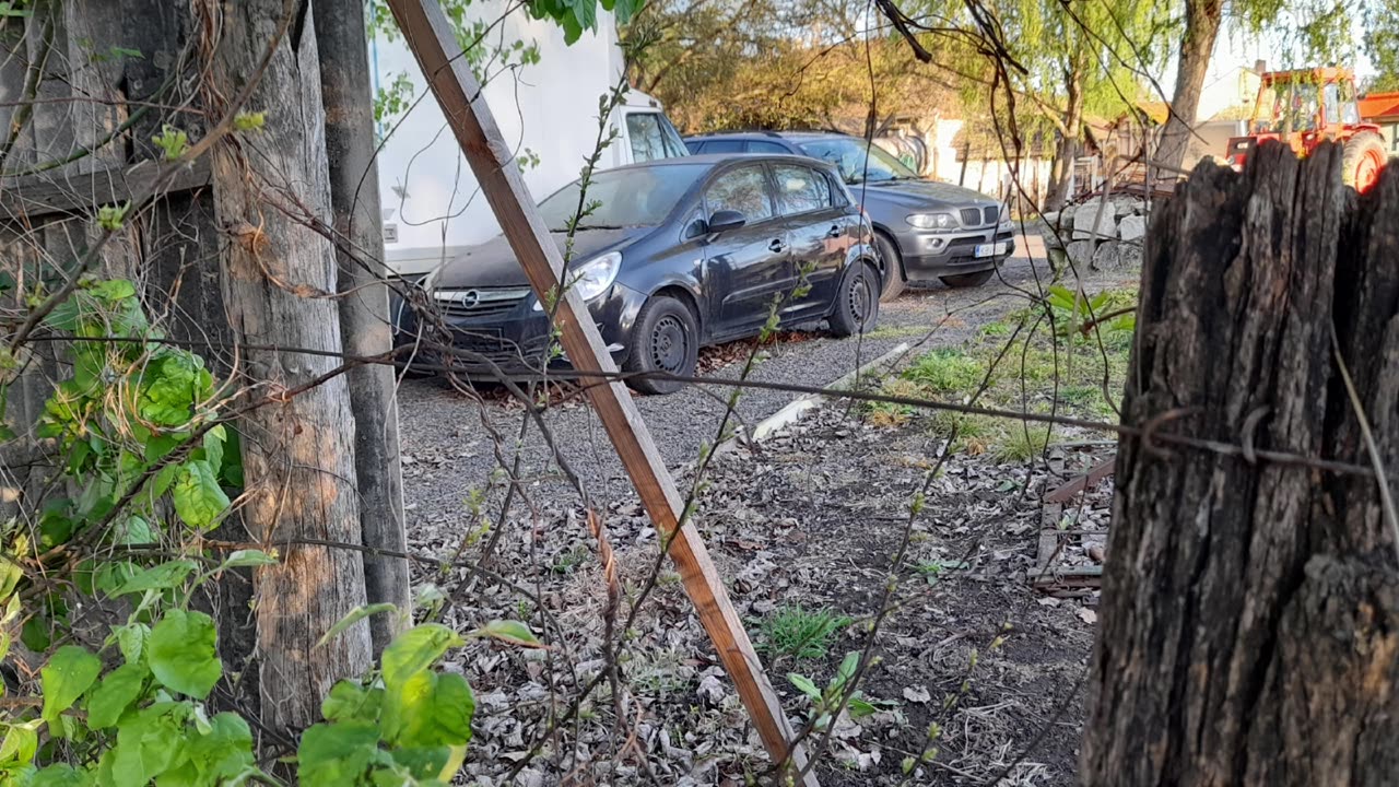 3 Lopott autó keresi a gazdáját.