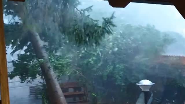 the anger of nature . When nature turns into a beast