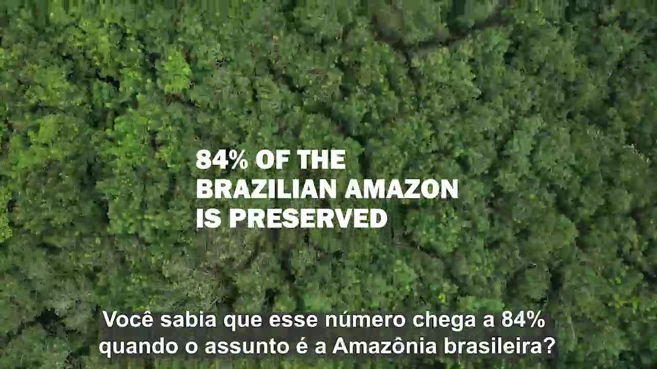 A verdade e a mentira sobre a Amazônia