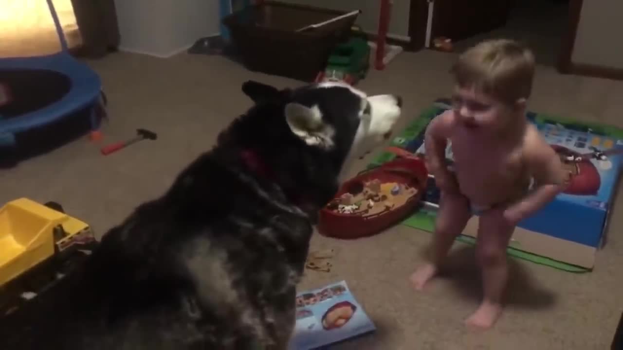 Baby Talks With A Husky And Enjoy