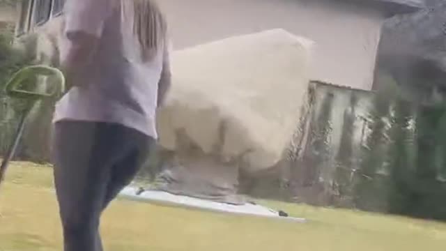 funny|prank|jokes|funny jokes|dad jokes|funny memes|funny video|fun|laughing|funny animal|knock