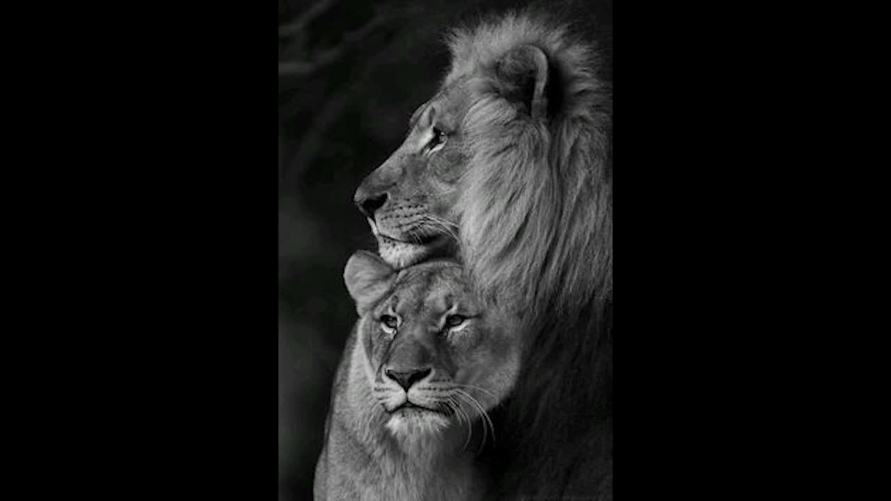 Dustin Thomas - Let your rain fall down