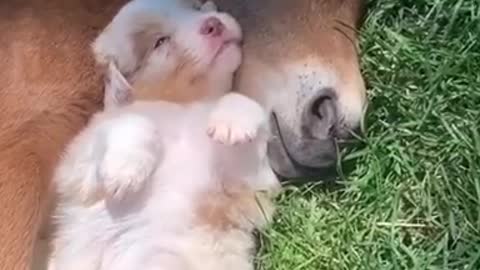Smile Today!!!