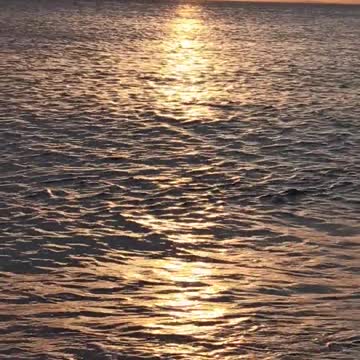 Most Beautiful Sunset 94