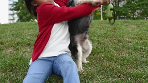 cachorro brincando