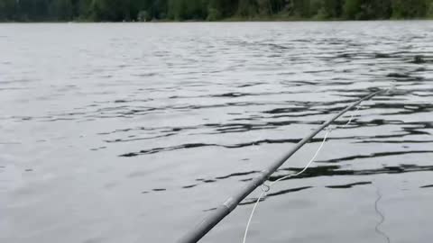 Patriot Fishing part 5-3