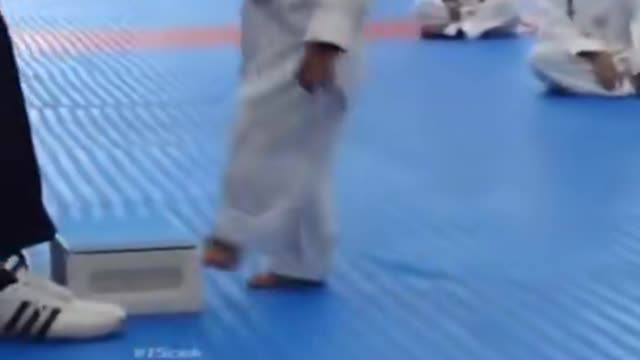 Black belt error