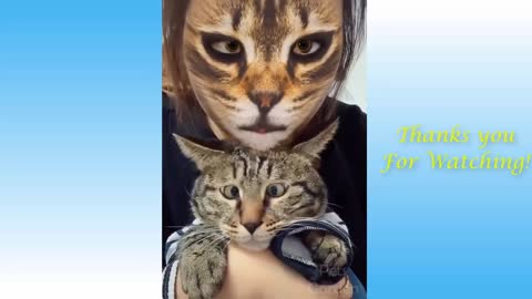 FUNNY FACE CAT BY PRANKING CAT AND DOGS