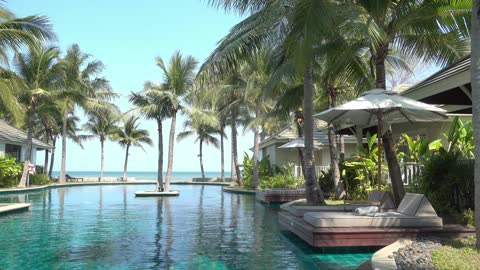 outdoor swimming pool with sea view and palm tree