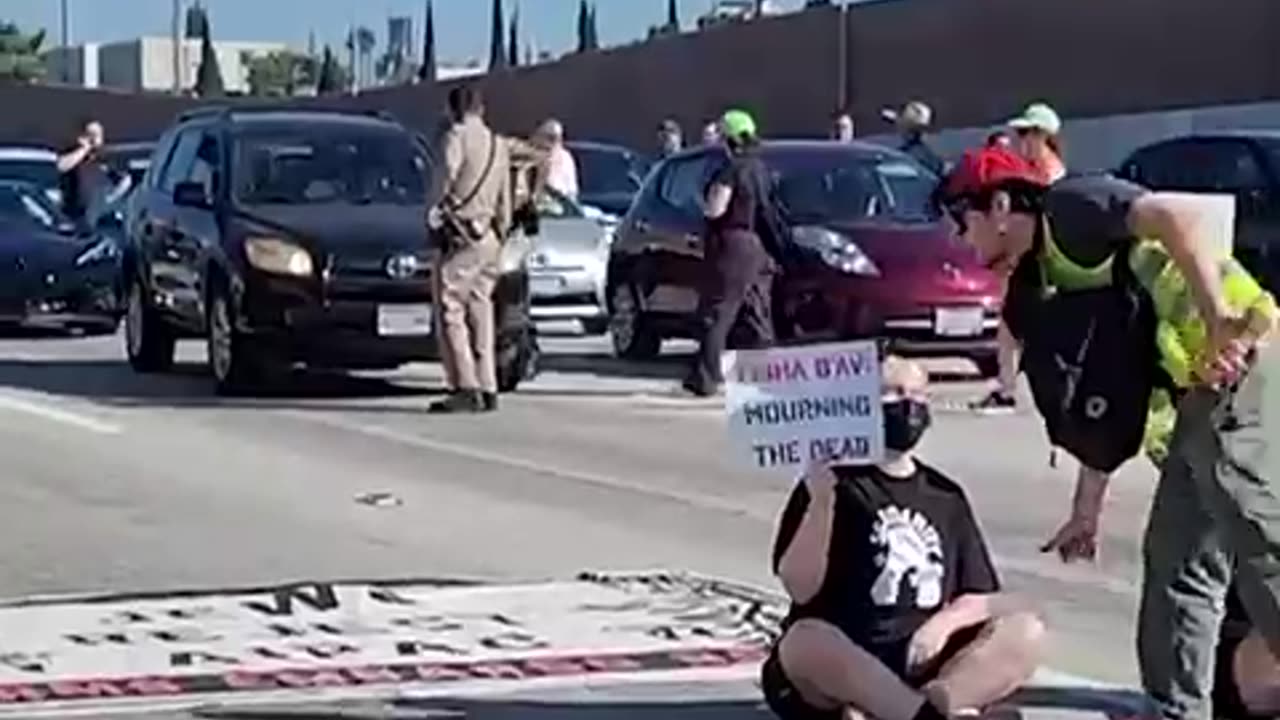 On Tuesday, pro-Palestinian protesters blocked traffic on one of Los Angeles' busiest freeways