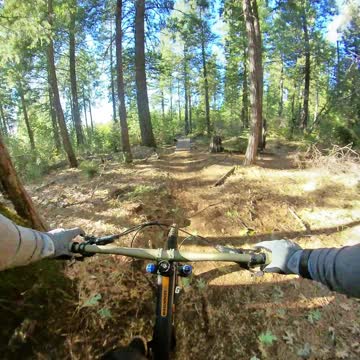 Bumpy Meadows MTB Trail November 15 2020