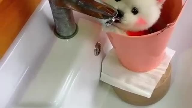 Cute dog video !! Funny dog vi deo Baby Dogs - Cute and Funny Dog Videos Compilation