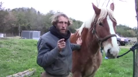 Horse Shoeing with Titus Morris