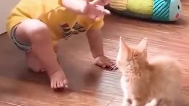 Cute baby small baby cat are loce each other, baby love with animals