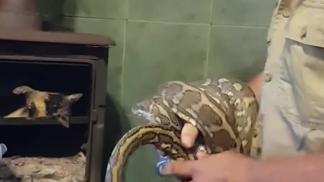 Snaking a Fireplace