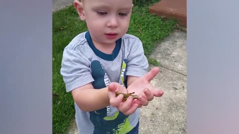 Baby and animals are playing together