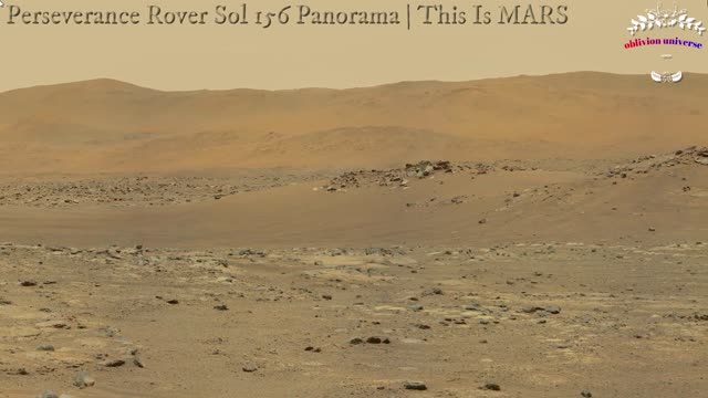 Perseverance Rover Sol 156 Panorama MARS