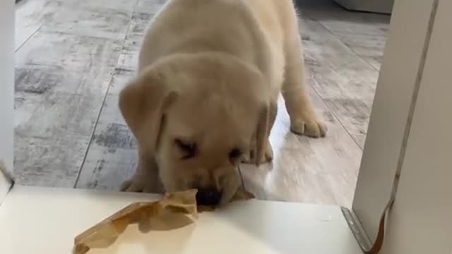 practicing the skills of a hunter