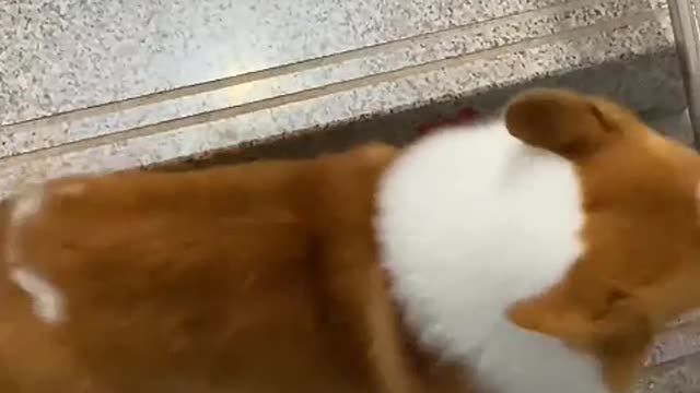 Usually a troublemaker, but a good baby when feeding