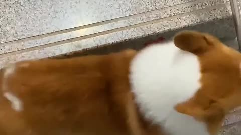 Usually a troublemaker, but a good baby when feeding