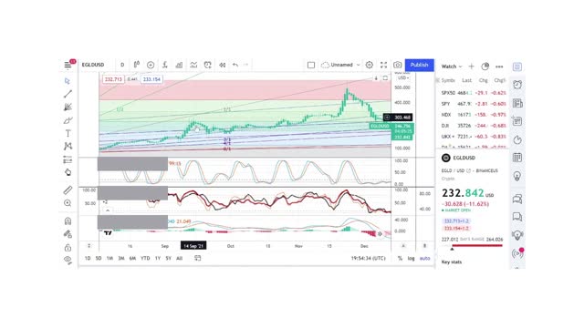 Basics to Investing - Elrond Coin EGLD - Stock Charts #062