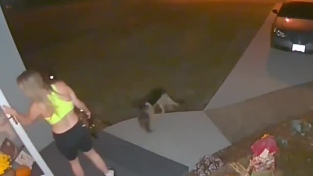 Dog gets too excited for walkies