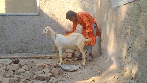 Amazing man with his goat