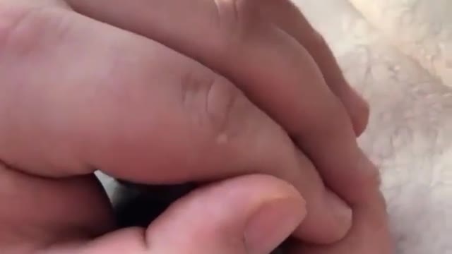 Hidden cat baby mom be happy to see her baby