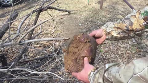 Old Springtime Giant Puffball Mushroom