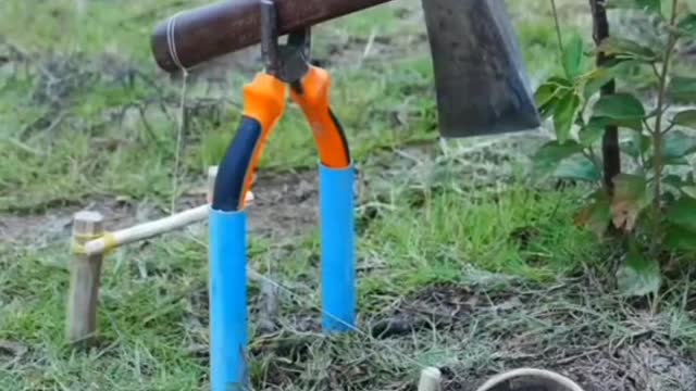 AN ALMOST PERFECT TRAP😁😁