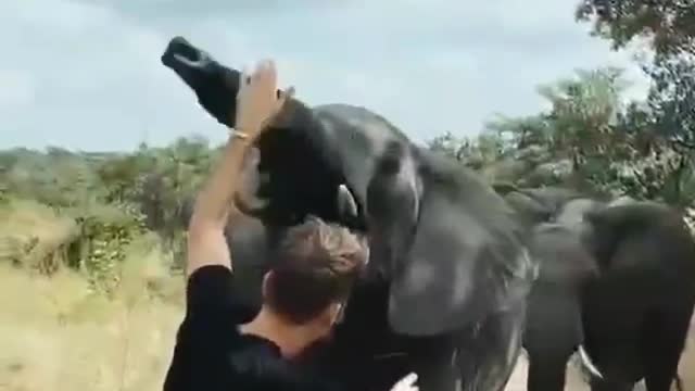 Unique encounter between photographer and elephant