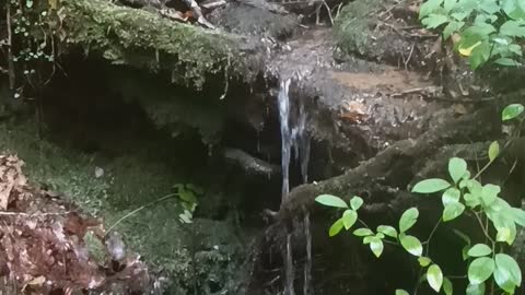 Living Waters