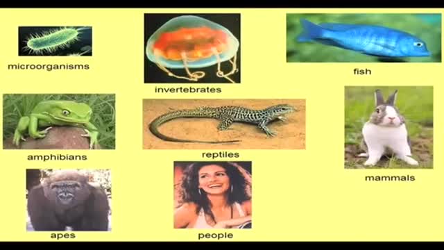 GOD IS REAL: HERE'S THE PROOF -- JAMES PERLOFF