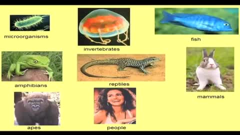 GOD IS REAL: HERE'S THE PROOF -- JAMES PERLOFF