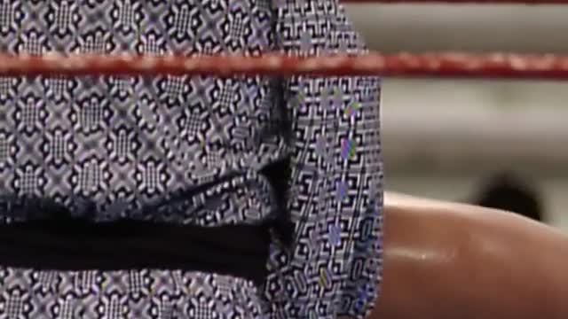 Yokozuna wins the Royal Rumble