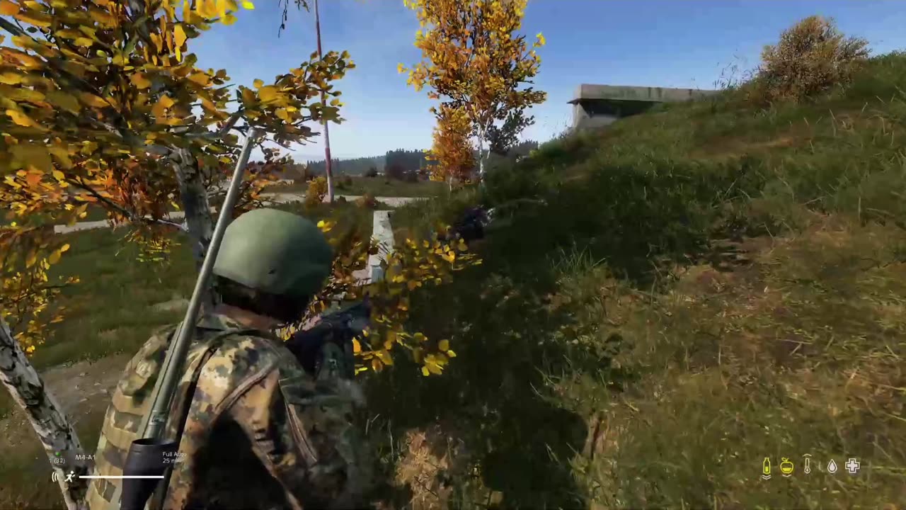 Dayz Just PVP PS5