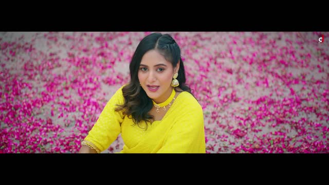 Tere Piche Piche Video Baani Sandhu Mixsingh Babbu Gurinder Bawa Punjabi Song_1080p