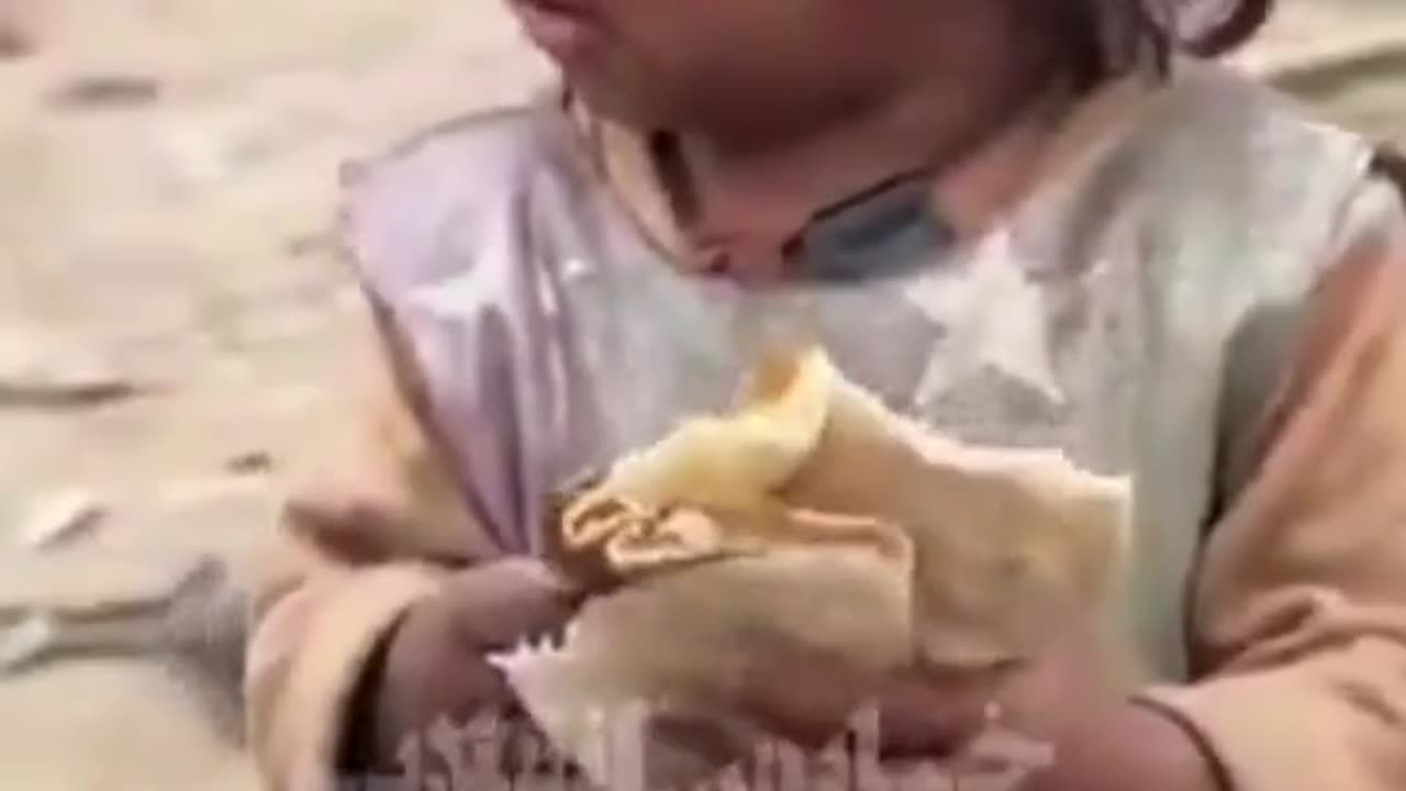 Bimba sola, ferita e senza cibo. I genitori sono morti nei bombardamenti di Israele.