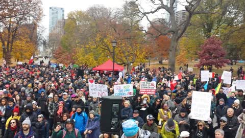 Toronto worldwide march for freedom: Gathering at Queen's Park - November 20, 2021