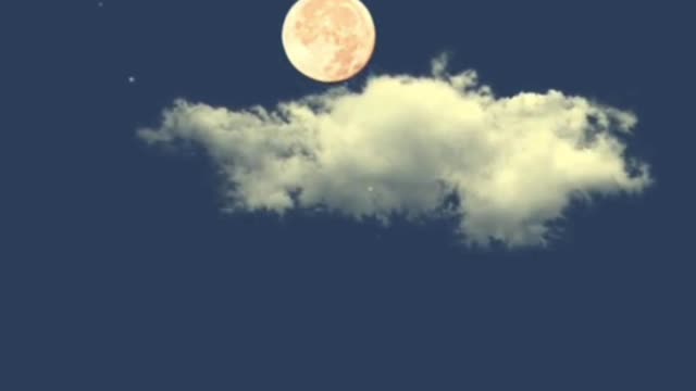Flowers are full of moon and night, and the wind is high and airy