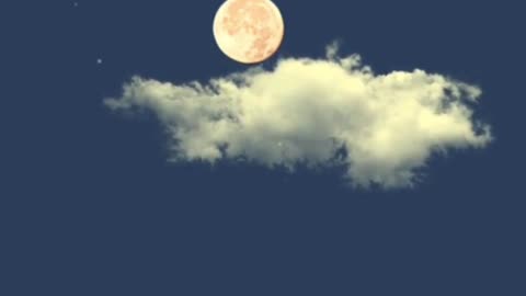 Flowers are full of moon and night, and the wind is high and airy