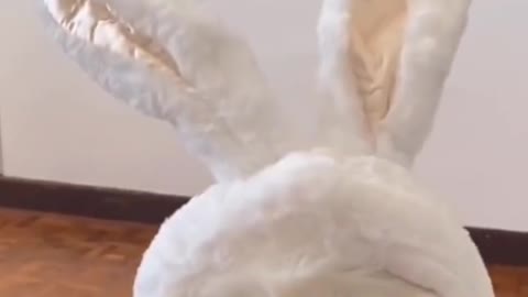 Super cute